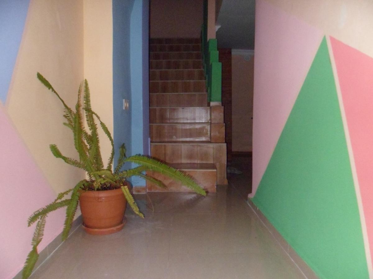 Everyday Cat Hostel Batumi Exterior photo